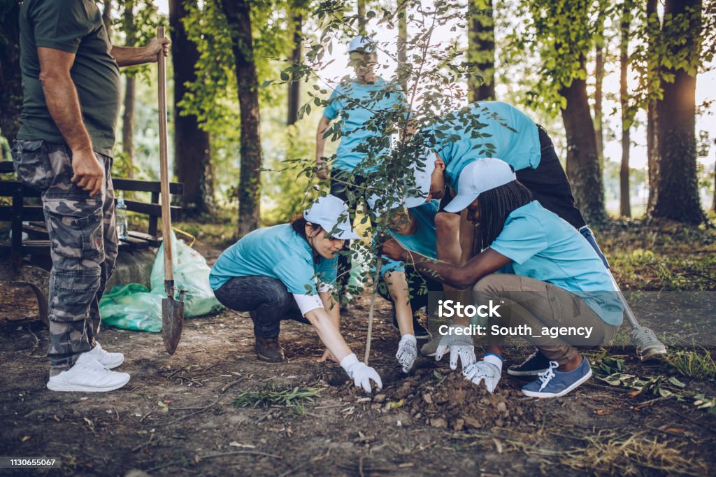 Roots of Change: Our Green Earth Initiative.